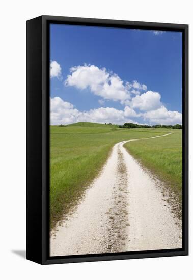 Path Through a Meadow with Cumulus Clouds, Swabian Alb, Baden Wurttemberg, Germany, Europe-Markus Lange-Framed Premier Image Canvas