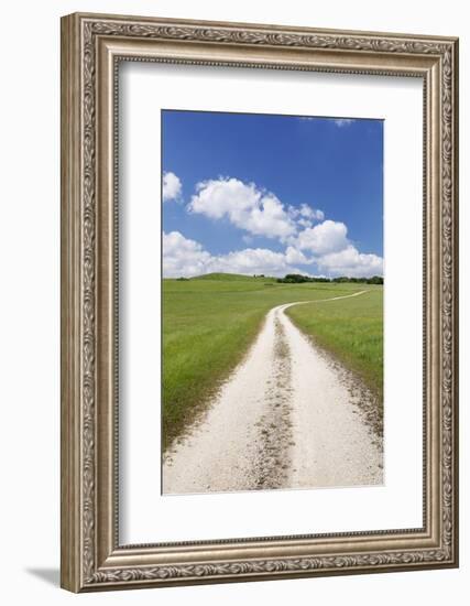 Path Through a Meadow with Cumulus Clouds, Swabian Alb, Baden Wurttemberg, Germany, Europe-Markus Lange-Framed Photographic Print