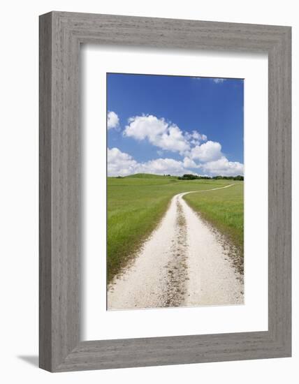 Path Through a Meadow with Cumulus Clouds, Swabian Alb, Baden Wurttemberg, Germany, Europe-Markus Lange-Framed Photographic Print