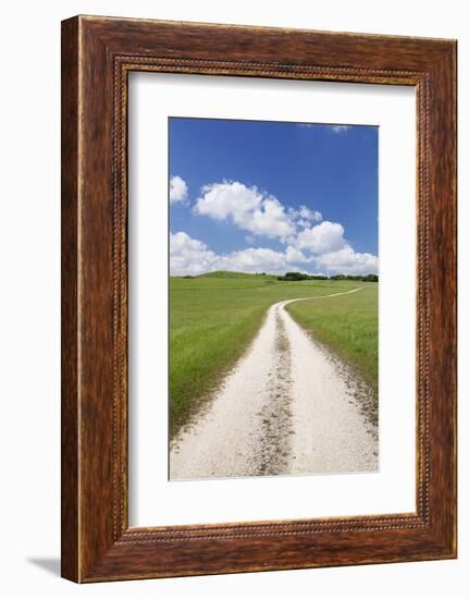 Path Through a Meadow with Cumulus Clouds, Swabian Alb, Baden Wurttemberg, Germany, Europe-Markus Lange-Framed Photographic Print