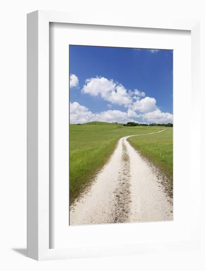 Path Through a Meadow with Cumulus Clouds, Swabian Alb, Baden Wurttemberg, Germany, Europe-Markus Lange-Framed Photographic Print