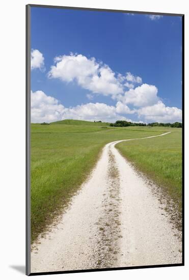 Path Through a Meadow with Cumulus Clouds, Swabian Alb, Baden Wurttemberg, Germany, Europe-Markus Lange-Mounted Photographic Print