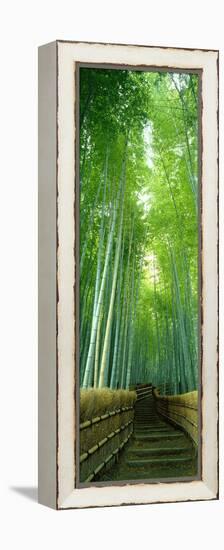 Path Through Bamboo Forest Kyoto Japan-null-Framed Stretched Canvas