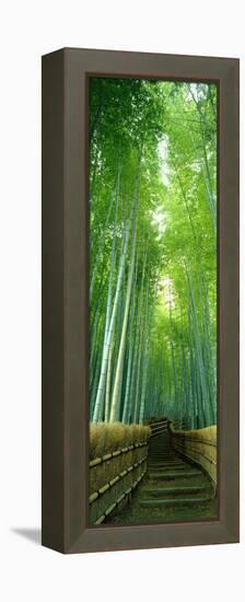 Path Through Bamboo Forest Kyoto Japan-null-Framed Stretched Canvas