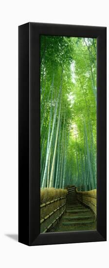 Path Through Bamboo Forest Kyoto Japan-null-Framed Stretched Canvas