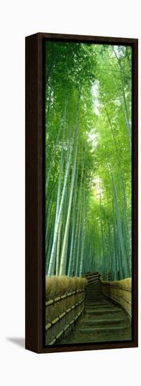 Path Through Bamboo Forest Kyoto Japan-null-Framed Stretched Canvas