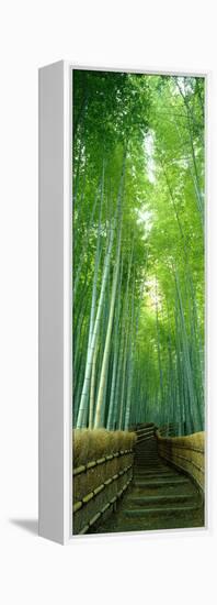 Path Through Bamboo Forest Kyoto Japan-null-Framed Stretched Canvas