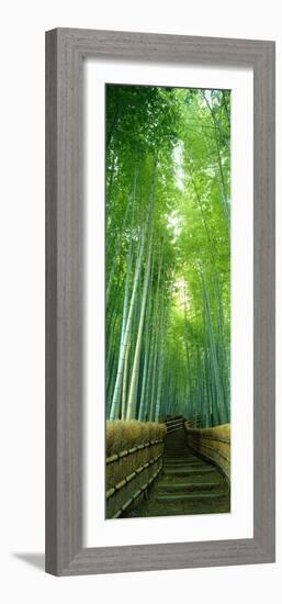 Path Through Bamboo Forest Kyoto Japan-null-Framed Photographic Print