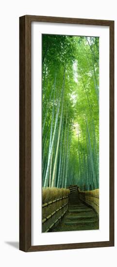Path Through Bamboo Forest Kyoto Japan-null-Framed Photographic Print