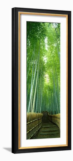 Path Through Bamboo Forest Kyoto Japan-null-Framed Photographic Print