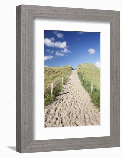 Path Through Dunes, Sylt, North Frisian Islands, Nordfriesland, Schleswig Holstein, Germany, Europe-Markus Lange-Framed Photographic Print