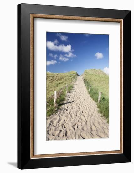 Path Through Dunes, Sylt, North Frisian Islands, Nordfriesland, Schleswig Holstein, Germany, Europe-Markus Lange-Framed Photographic Print