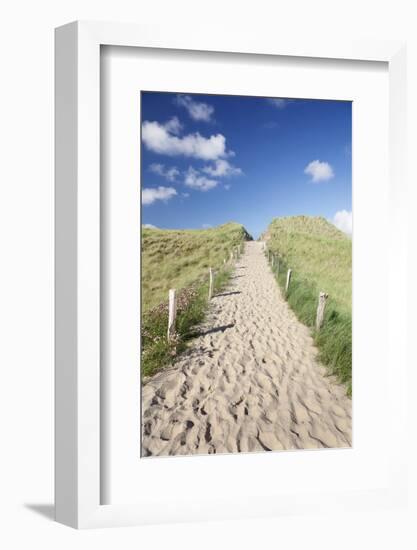 Path Through Dunes, Sylt, North Frisian Islands, Nordfriesland, Schleswig Holstein, Germany, Europe-Markus Lange-Framed Photographic Print