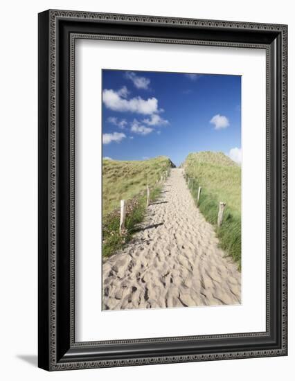 Path Through Dunes, Sylt, North Frisian Islands, Nordfriesland, Schleswig Holstein, Germany, Europe-Markus Lange-Framed Photographic Print