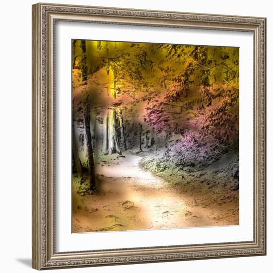 Path Through Forest 1-Janet Slater-Framed Photographic Print