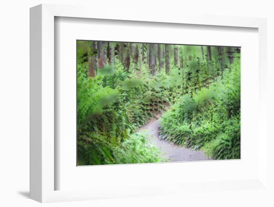 Path Through Forest  3-Janet Slater-Framed Photographic Print