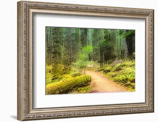 Path Through Forest 4-Janet Slater-Framed Photographic Print