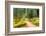 Path Through Forest 4-Janet Slater-Framed Photographic Print