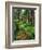 Path Through Old-Growth Rainforest, Olympic National Park, Washington, USA-Adam Jones-Framed Photographic Print