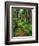 Path Through Old-Growth Rainforest, Olympic National Park, Washington, USA-Adam Jones-Framed Photographic Print