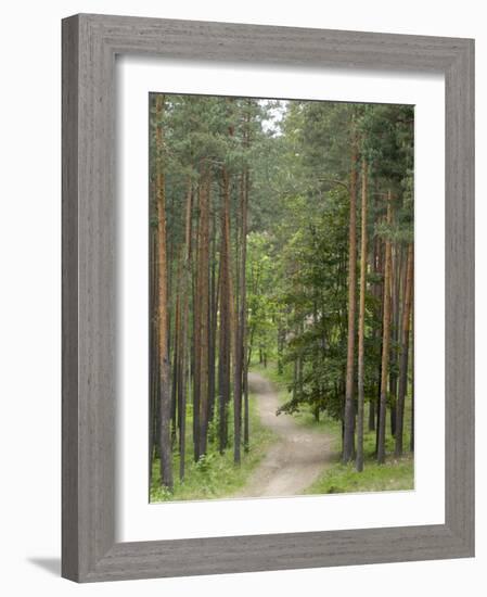 Path Through Pine Forest, Near Riga, Latvia, Baltic States, Europe-Gary Cook-Framed Photographic Print