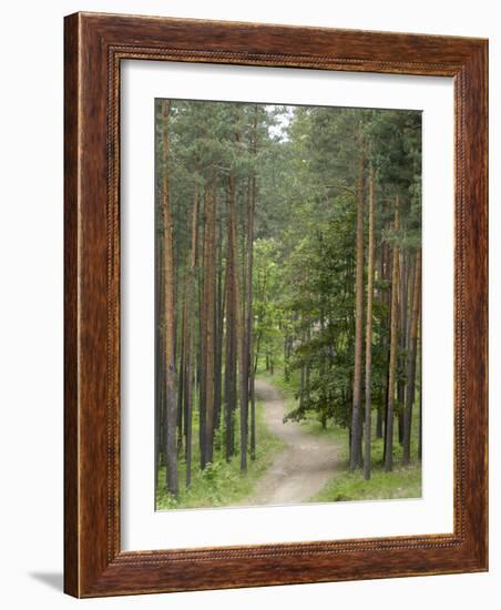 Path Through Pine Forest, Near Riga, Latvia, Baltic States, Europe-Gary Cook-Framed Photographic Print