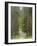 Path Through Pine Forest, Near Riga, Latvia, Baltic States, Europe-Gary Cook-Framed Photographic Print