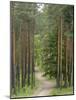 Path Through Pine Forest, Near Riga, Latvia, Baltic States, Europe-Gary Cook-Mounted Photographic Print
