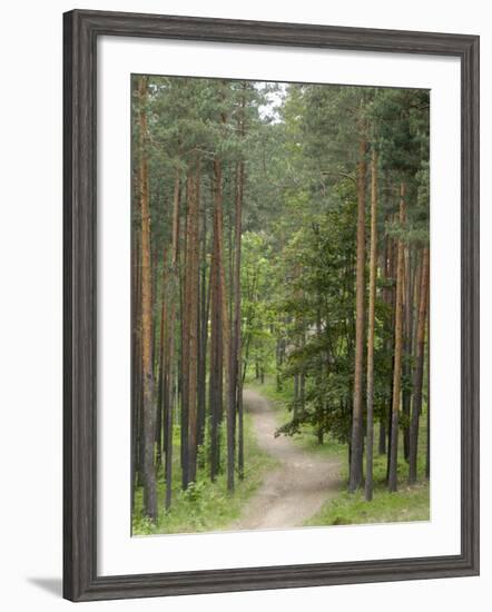Path Through Pine Forest, Near Riga, Latvia, Baltic States, Europe-Gary Cook-Framed Photographic Print