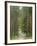 Path Through Pine Forest, Near Riga, Latvia, Baltic States, Europe-Gary Cook-Framed Photographic Print