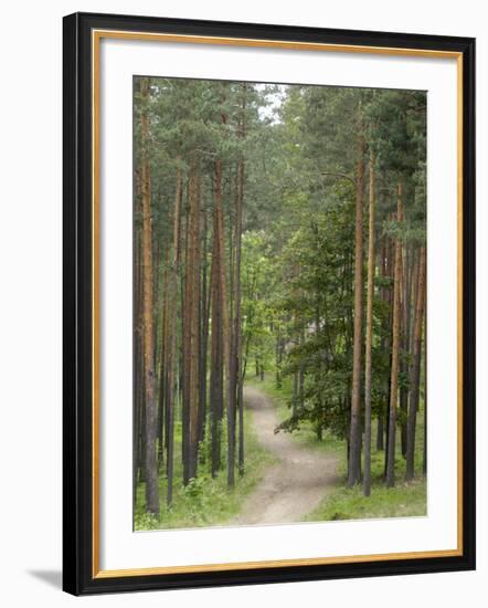 Path Through Pine Forest, Near Riga, Latvia, Baltic States, Europe-Gary Cook-Framed Photographic Print