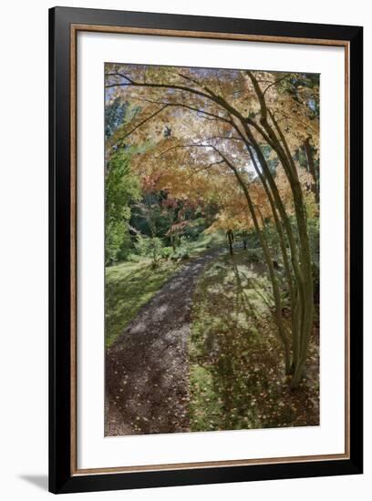 Path Through the Bloedel Reserve, Bainbridge Island, Washington, USA-Jaynes Gallery-Framed Photographic Print