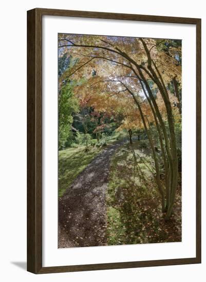 Path Through the Bloedel Reserve, Bainbridge Island, Washington, USA-Jaynes Gallery-Framed Photographic Print