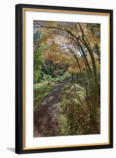 Path Through the Bloedel Reserve, Bainbridge Island, Washington, USA-Jaynes Gallery-Framed Photographic Print