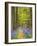 Path through the Blue Forest-Terry Eggers-Framed Photographic Print