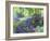 Path Through the Bluebells-Sylvia Paul-Framed Giclee Print