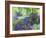 Path Through the Bluebells-Sylvia Paul-Framed Giclee Print