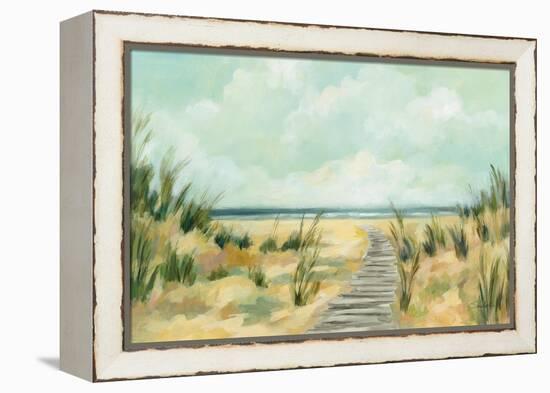 Path Through the Dunes-Silvia Vassileva-Framed Stretched Canvas