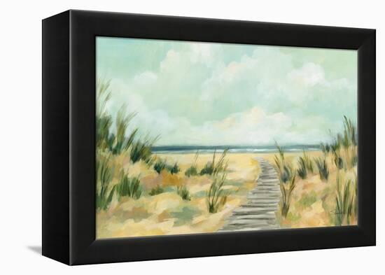 Path Through the Dunes-Silvia Vassileva-Framed Stretched Canvas