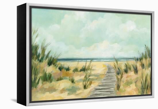 Path Through the Dunes-Silvia Vassileva-Framed Stretched Canvas