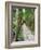 Path Through the Forest at My Son, UNESCO World Heritage Site, Vietnam, Indochina, Southeast Asia-Matthew Williams-Ellis-Framed Photographic Print