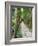 Path Through the Forest at My Son, UNESCO World Heritage Site, Vietnam, Indochina, Southeast Asia-Matthew Williams-Ellis-Framed Photographic Print