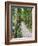 Path Through the Forest at My Son, UNESCO World Heritage Site, Vietnam, Indochina, Southeast Asia-Matthew Williams-Ellis-Framed Photographic Print