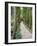 Path Through the Forest at My Son, UNESCO World Heritage Site, Vietnam, Indochina, Southeast Asia-Matthew Williams-Ellis-Framed Photographic Print