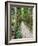 Path Through the Forest at My Son, UNESCO World Heritage Site, Vietnam, Indochina, Southeast Asia-Matthew Williams-Ellis-Framed Photographic Print