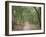 Path Through the Forest in Summer, Avon, England, United Kingdom-Michael Busselle-Framed Photographic Print