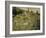 Path Through the Tall Grasses-Pierre-Auguste Renoir-Framed Giclee Print