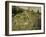 Path Through the Tall Grasses-Pierre-Auguste Renoir-Framed Giclee Print