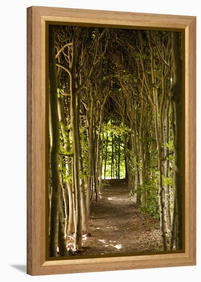 Path Through the Trees-Karyn Millet-Framed Premier Image Canvas