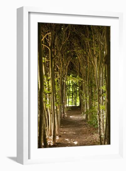 Path Through the Trees-Karyn Millet-Framed Photographic Print